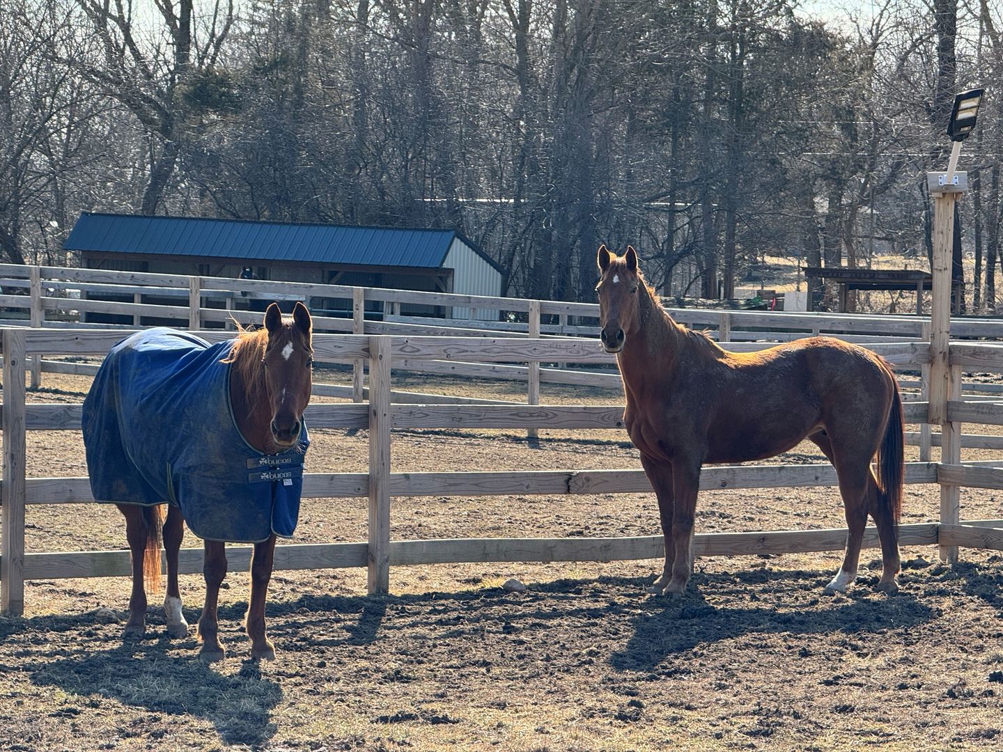 708 South Rose Farm Road Woodstock, IL 60098 - Photo 88 of 104