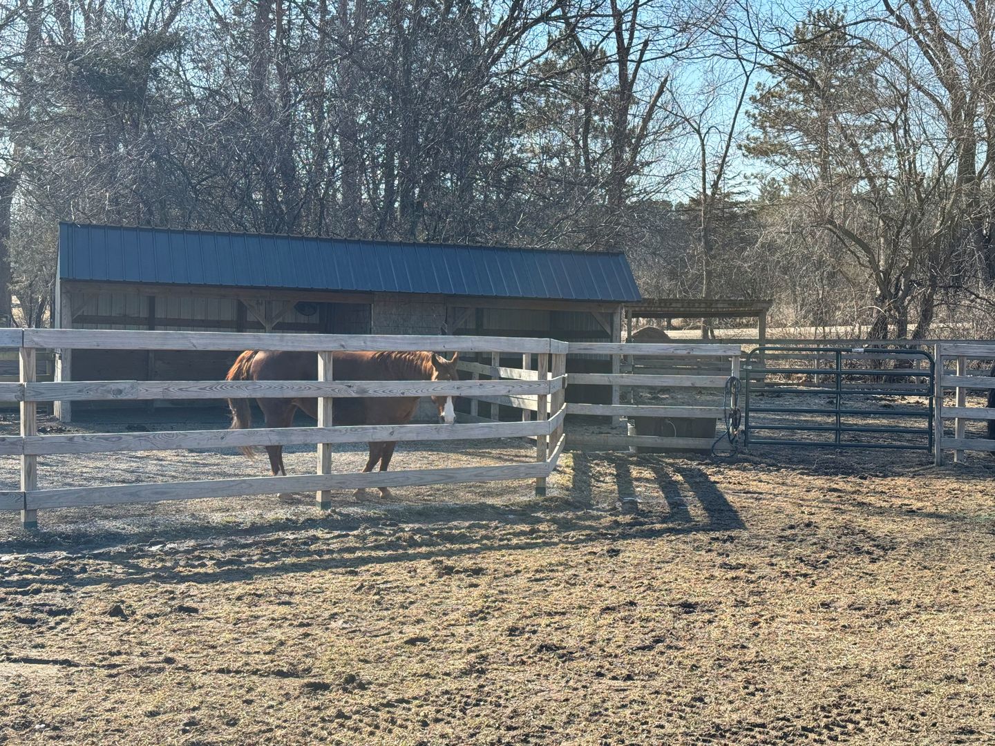 708 South Rose Farm Road Woodstock, IL 60098 - Photo 92 of 104