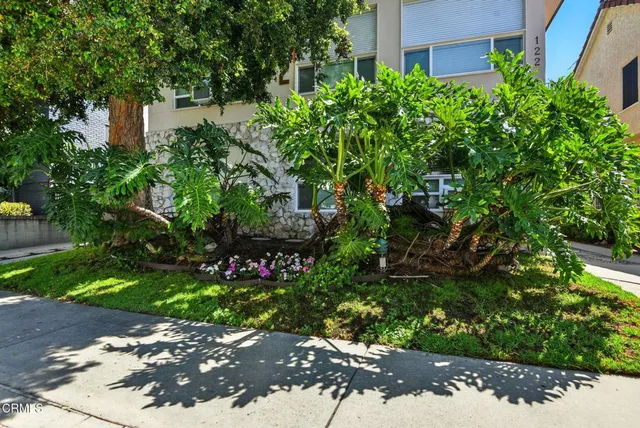 a plant is in front of a house