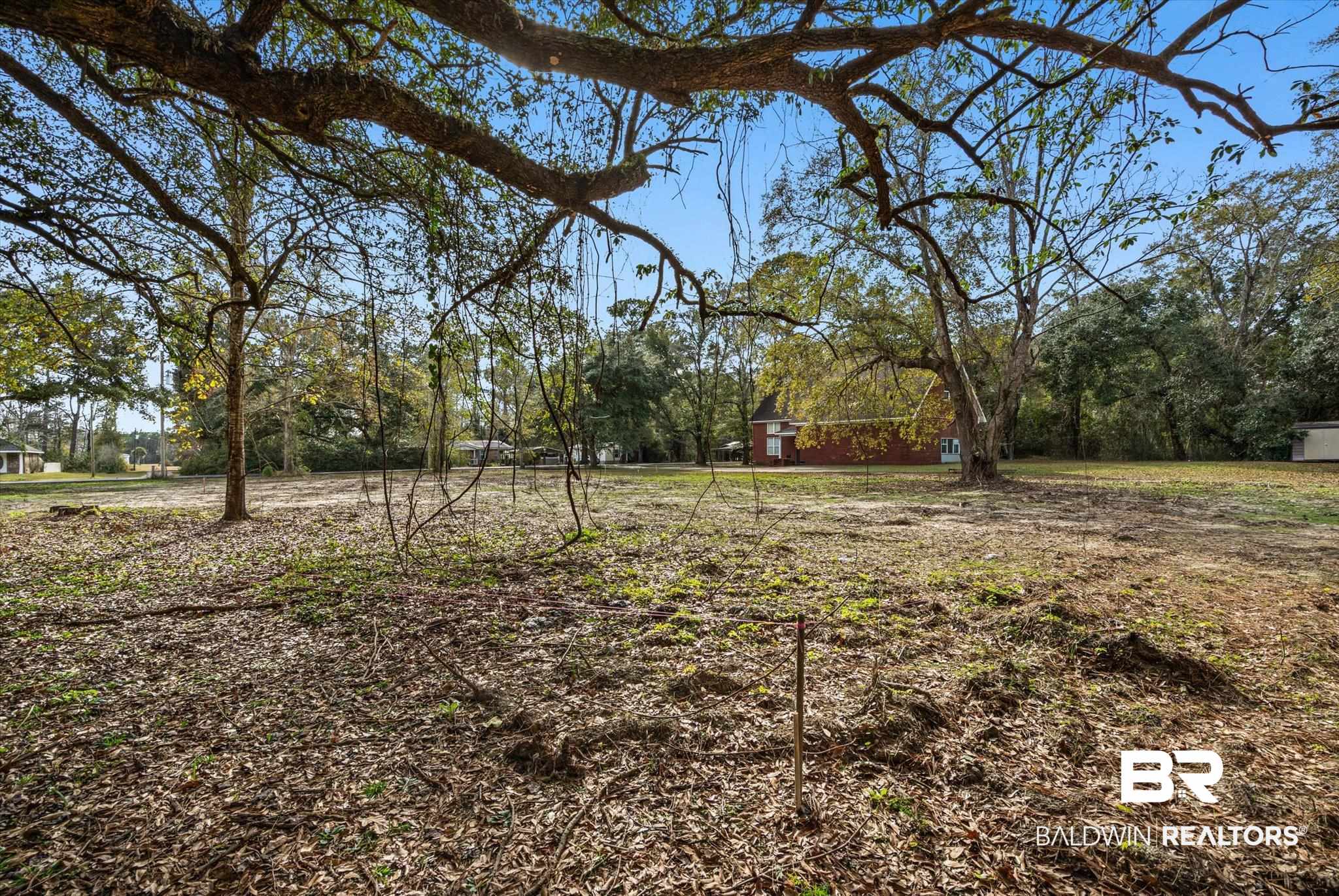 17065 Britt Lane Bon Secour, AL 36511 - Photo 7 of 15 View of yard