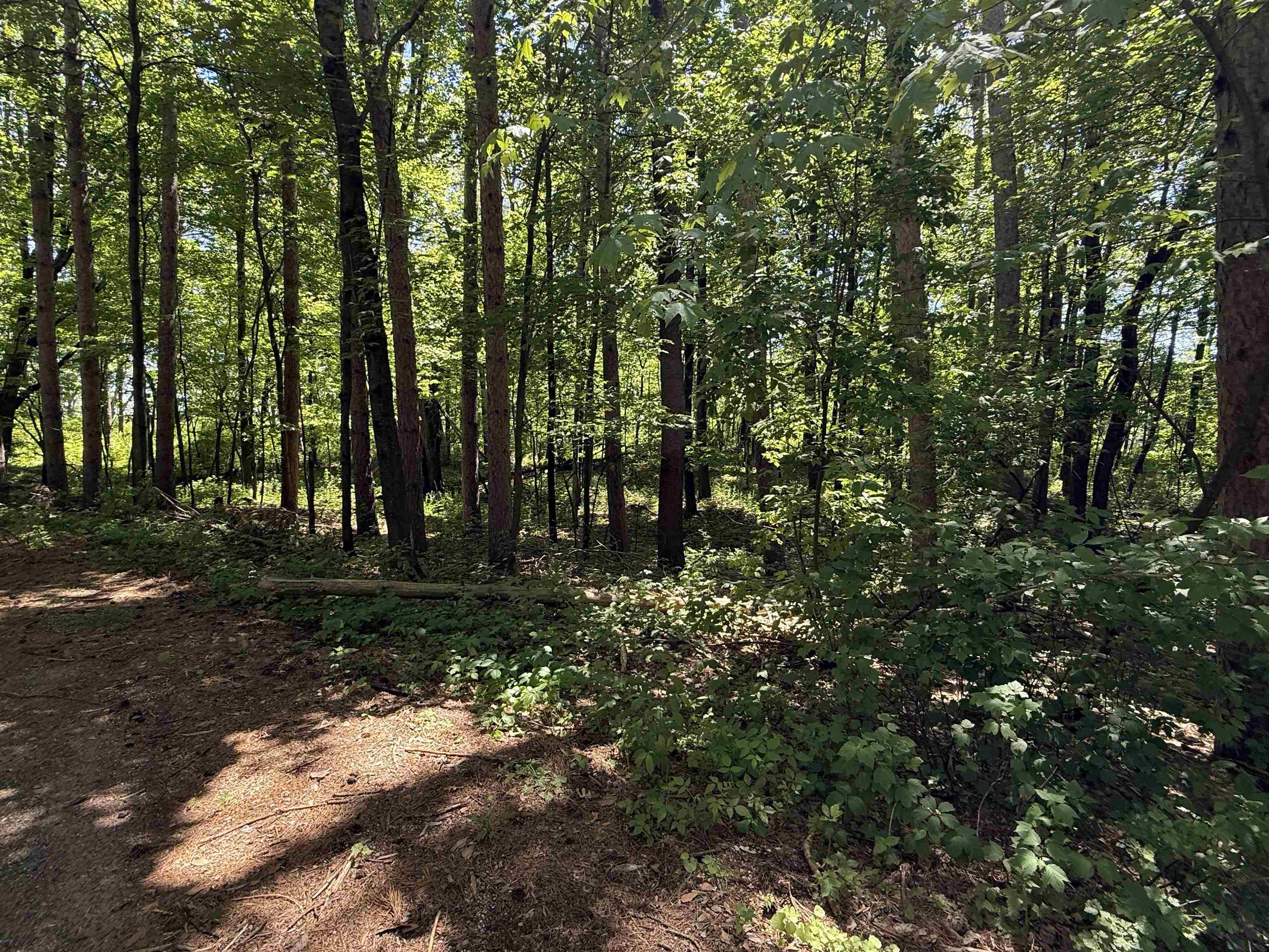 Lot 16 Arrowhead Road Amherst Junction, WI 54407 - Photo 7 of 17