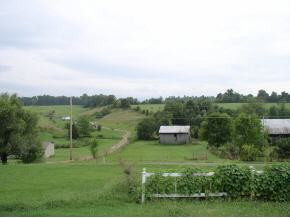 374 Miller Road Telford, TN 37690 - Photo 2 of 9 Photo 2