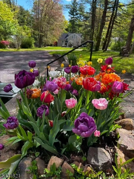 23 Hillcrest Road Warren, NJ 07059 - Photo 27 of 35