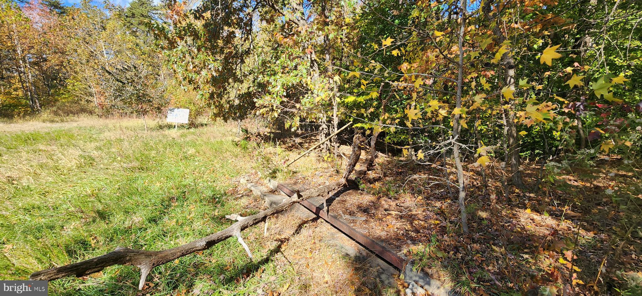 2600 John A Thompson Road Temple Hills, MD 20748 - Photo 6 of 8 a view of tree