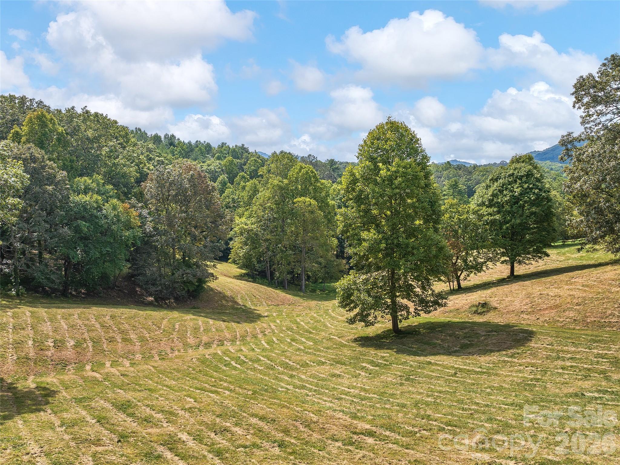 4546 Pine Log Road Brasstown, NC 28902 - Photo 33 of 34 Gallery Image 33