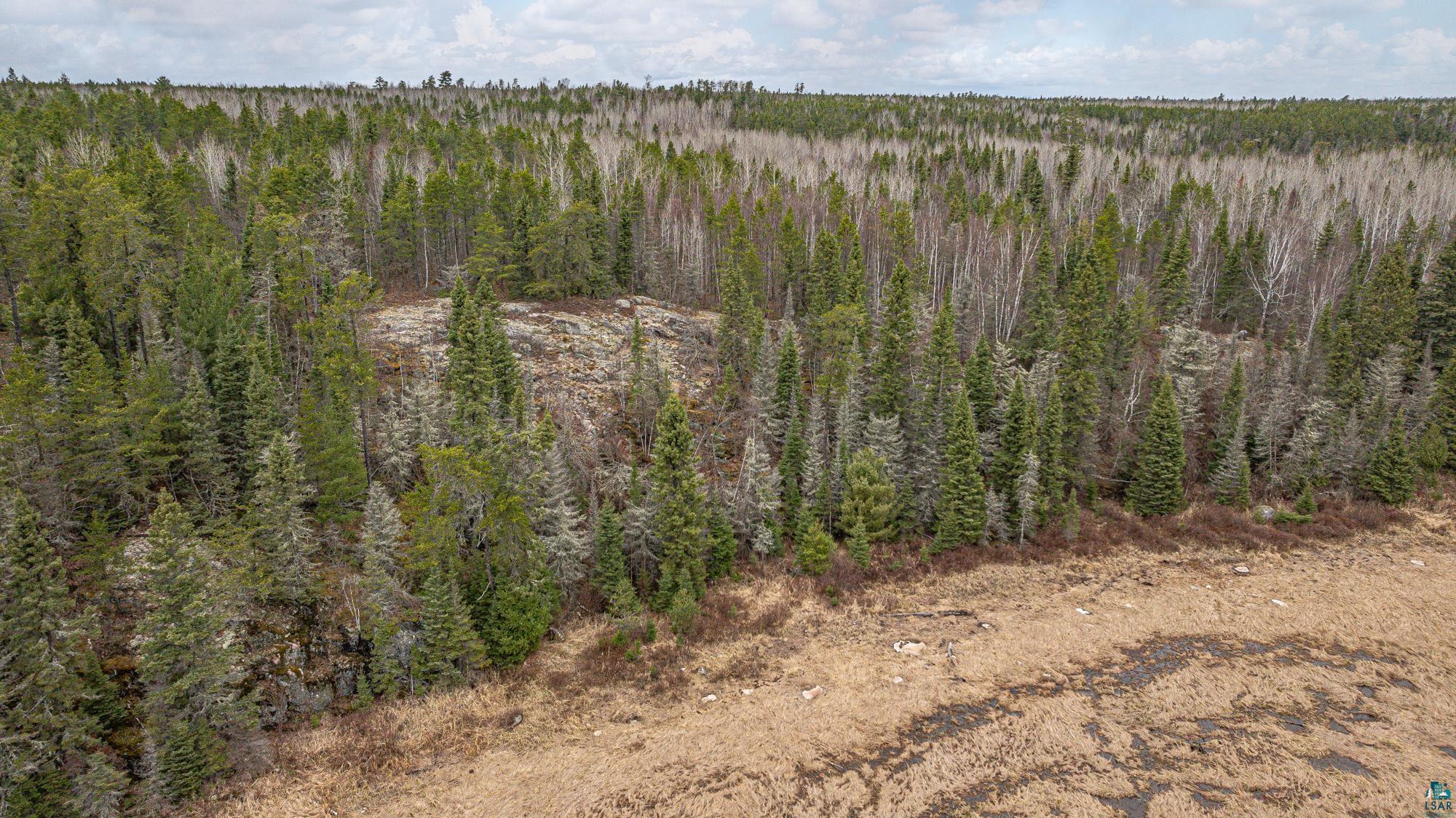 1736 North Grassy Road Ely, MN 55731 - Photo 79 of 97