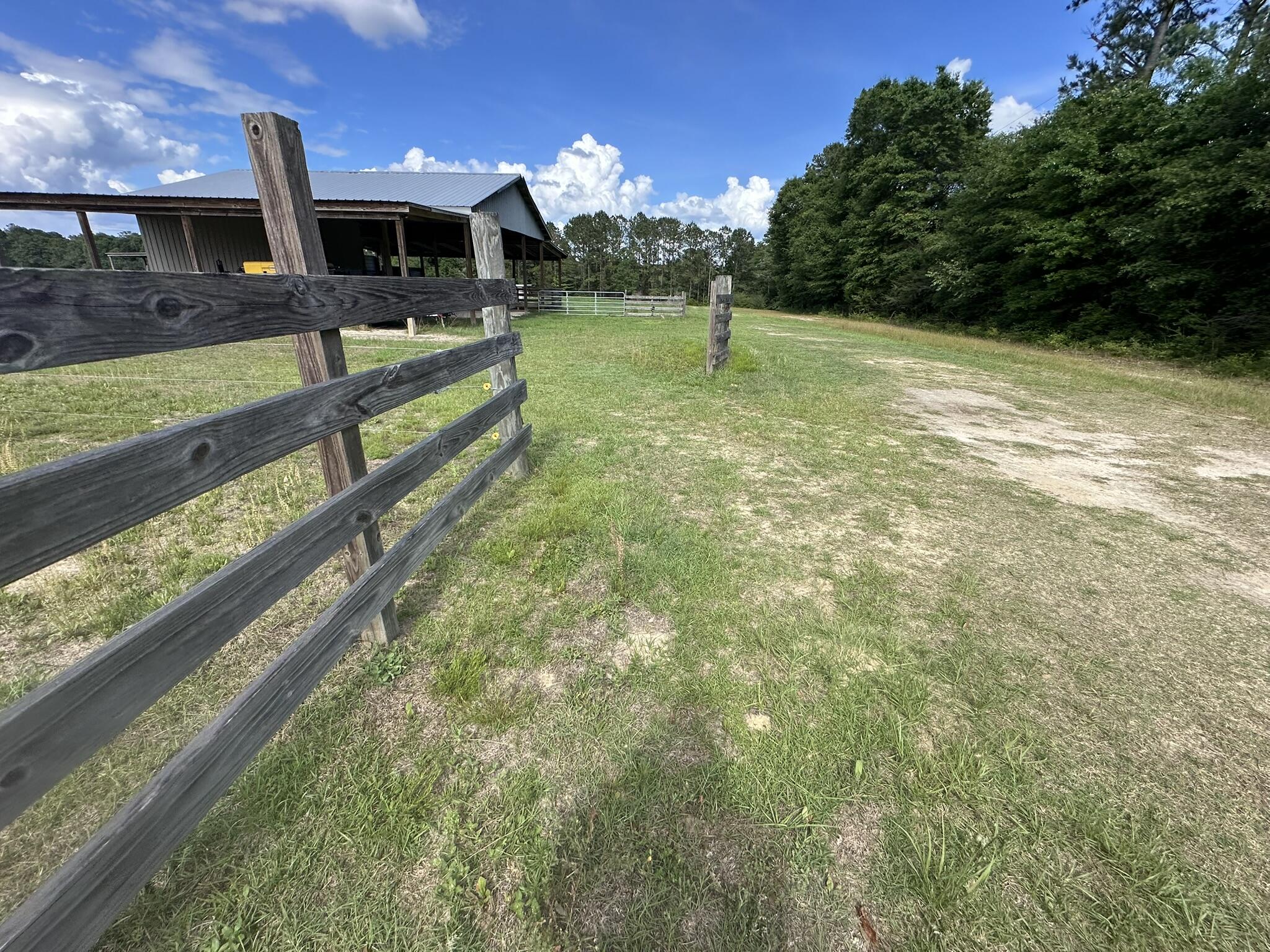20 / New Ebenezer Road Florala, AL 36442 - Photo 19 of 46 IMG_0090