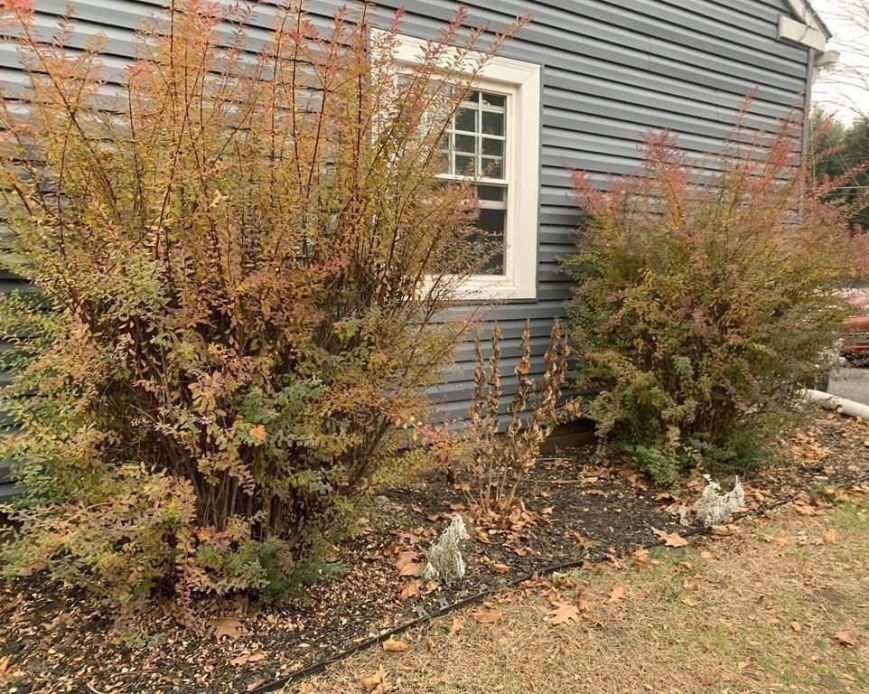 412 Plain Road Greenfield, MA 01301 - Photo 33 of 37 a view of a pathway of a house
