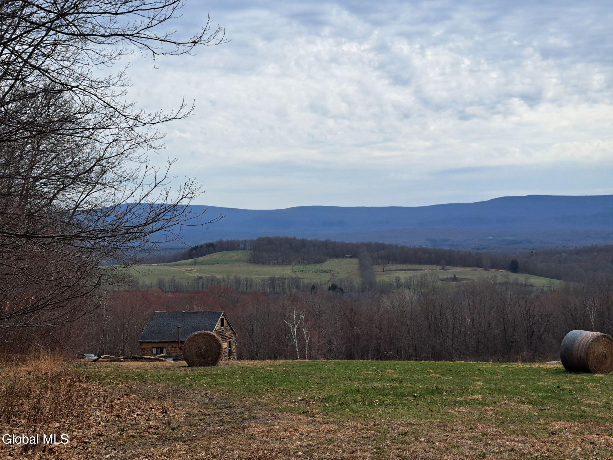 9.1 State Line Road White Creek, NY 12057 - Photo 9 of 72 10 Cabin & Green Mtns in April