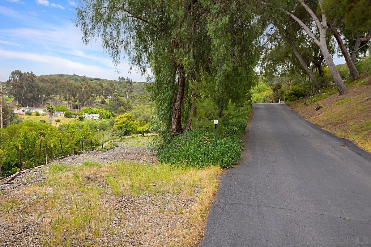 12759 Claire Drive Poway, CA 92064 - Photo 36 of 40 a view of a yard with plants and large trees