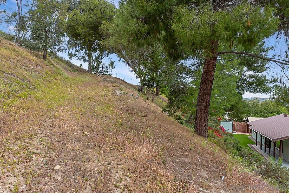 12759 Claire Drive Poway, CA 92064 - Photo 39 of 40 a view of a yard with plants and a trees