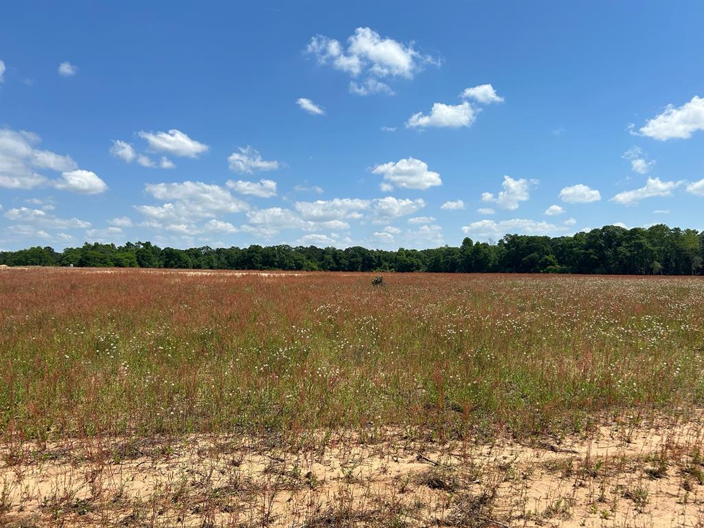 0 Singletary Road Slocomb, AL 36375 - Photo 1 of 3