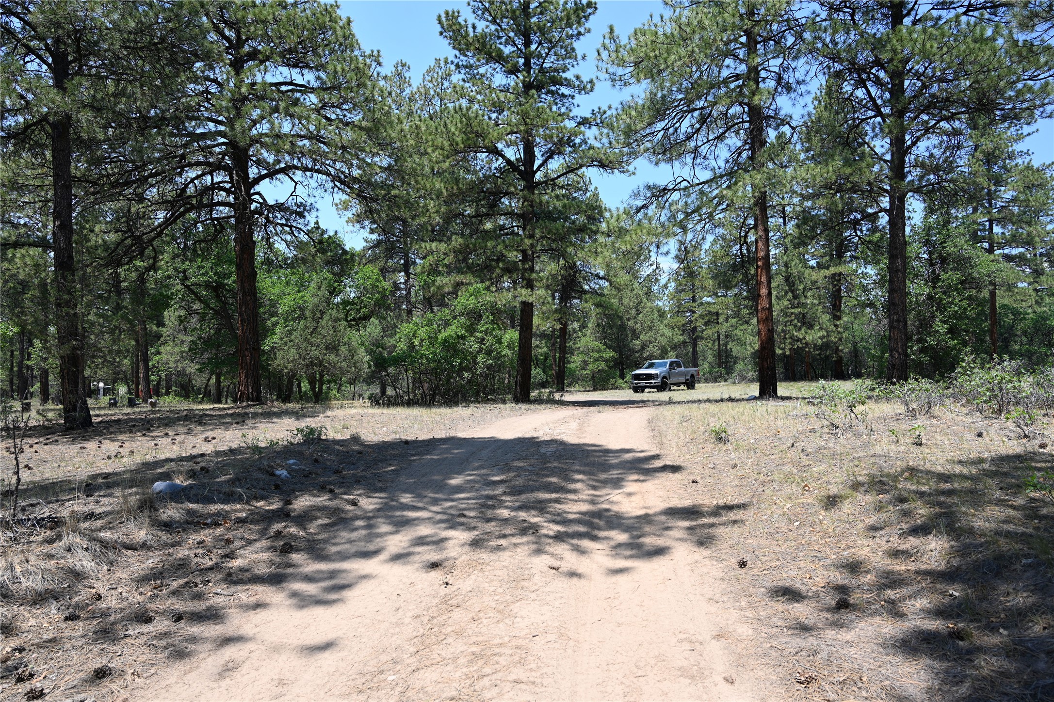 0 The Forks Road Chama, NM 87520 - Photo 12 of 25 Gallery Image 12