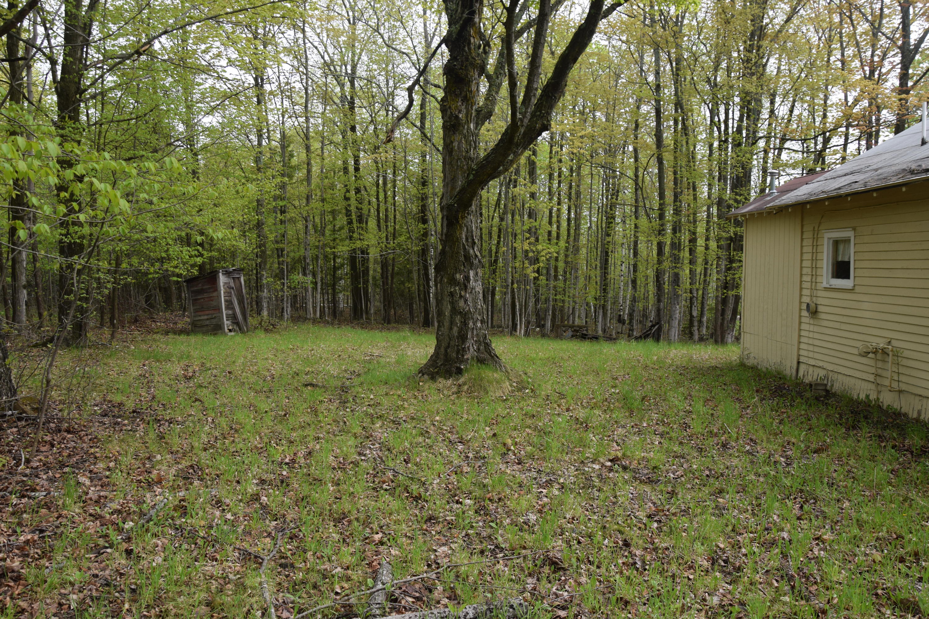 1546 Gitchi Manitou Road Alpena, MI 49707 - Photo 15 of 18 Gallery Image 15