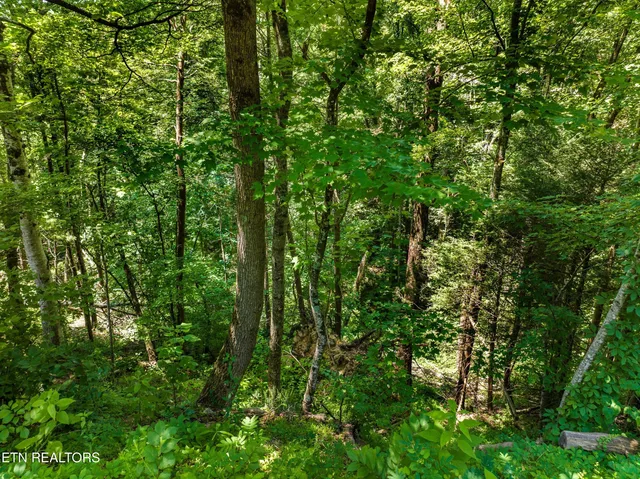 $38,960 | 1005 Laurel Road, Townsend, TN 37882