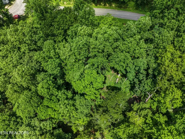 $38,960 | 1005 Laurel Road, Townsend, TN 37882