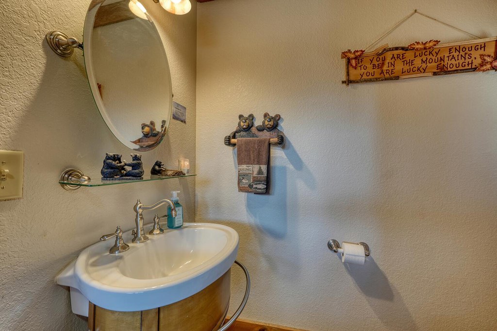 103 Wisteria Drive Murphy, NC 28906 - Photo 21 of 62 a bathroom with a sink and mirror