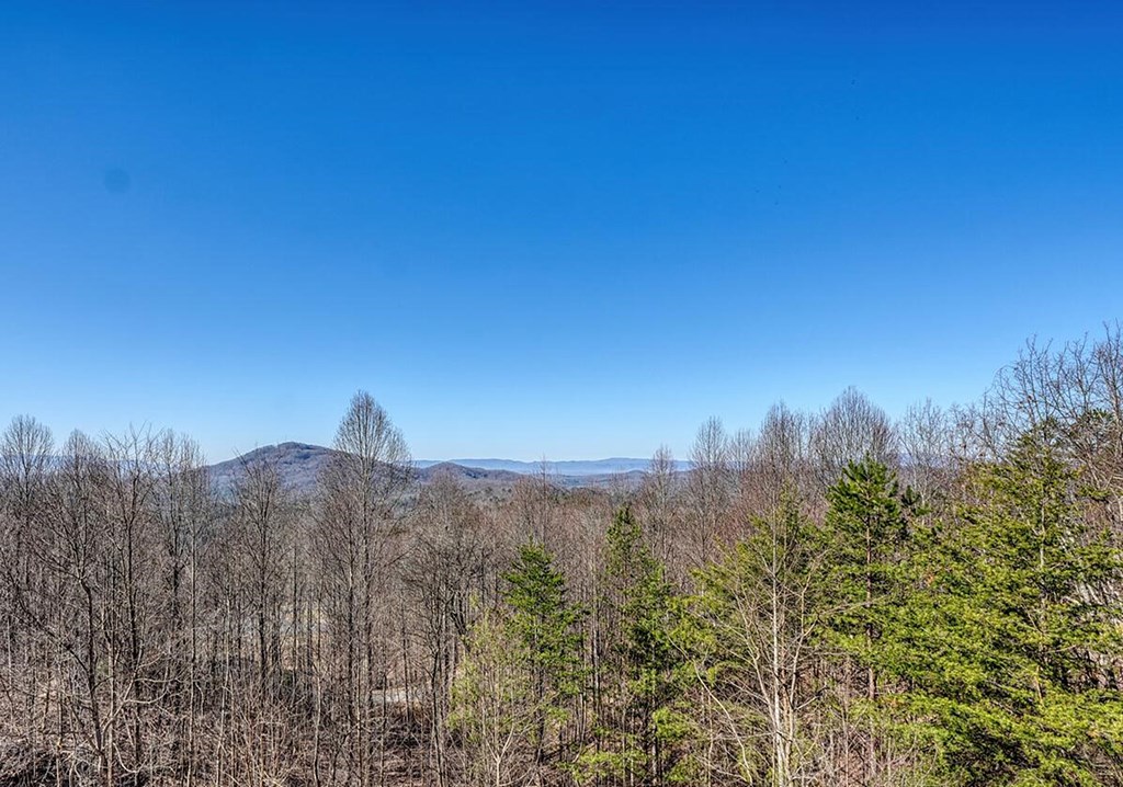 103 Wisteria Drive Murphy, NC 28906 - Photo 46 of 62 a view of a city