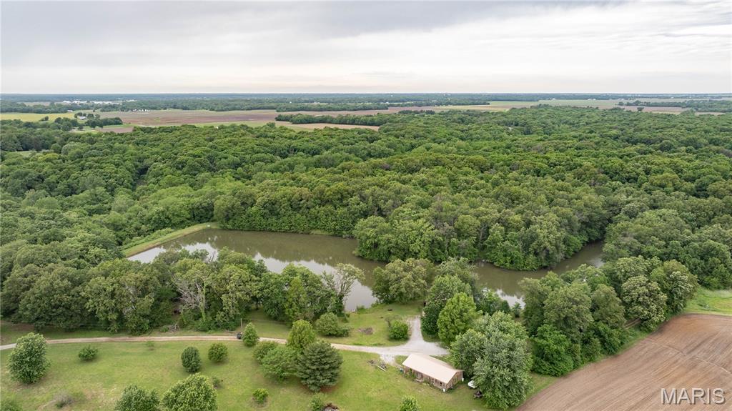 12678 Catholic Springs Road Bunker Hill, IL 62014 - Photo 2 of 43