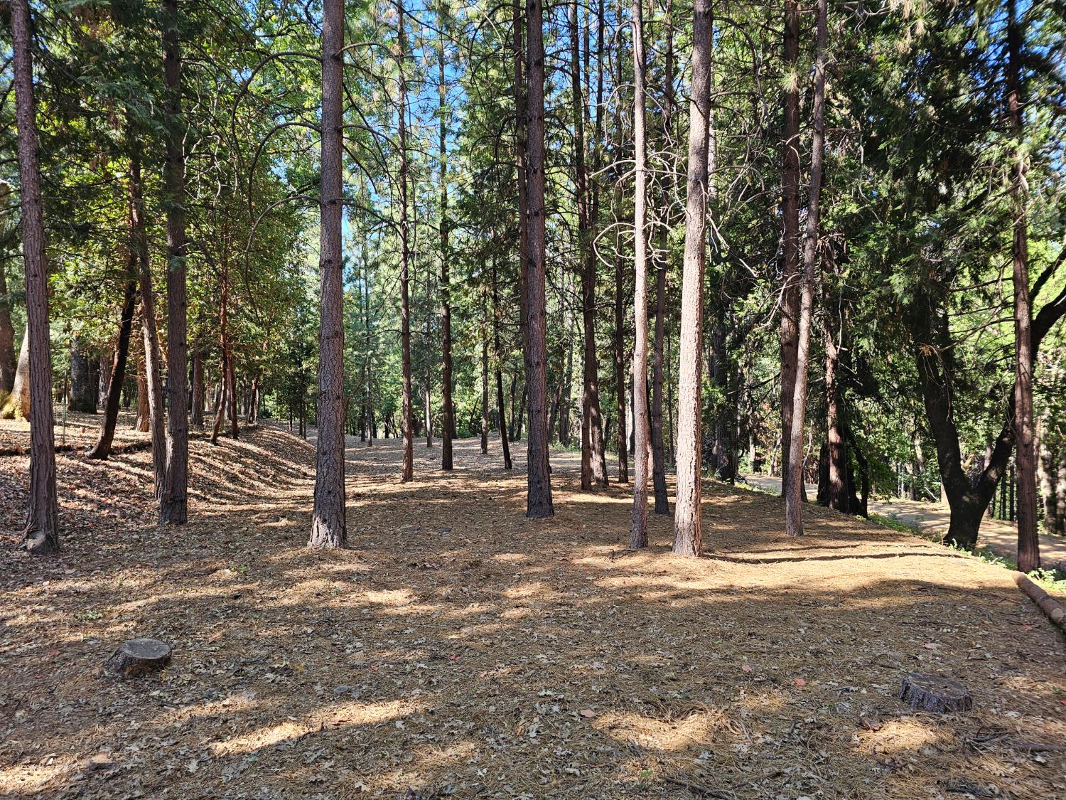 10680 Success Cross Road Nevada City, CA 95959 - Photo 2 of 22 Gallery Image 2