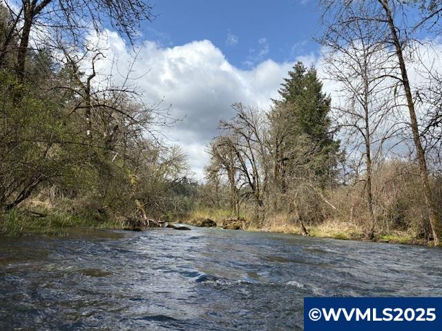 0 Northwest Old Railroad Grade Road Yamhill, OR 97148 - Photo 3 of 10