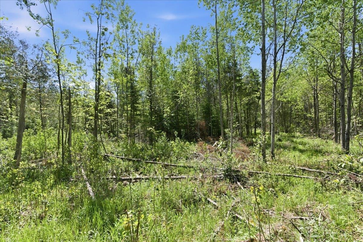 0 County Highway J Deerbrook, WI 54424 - Photo 23 of 78