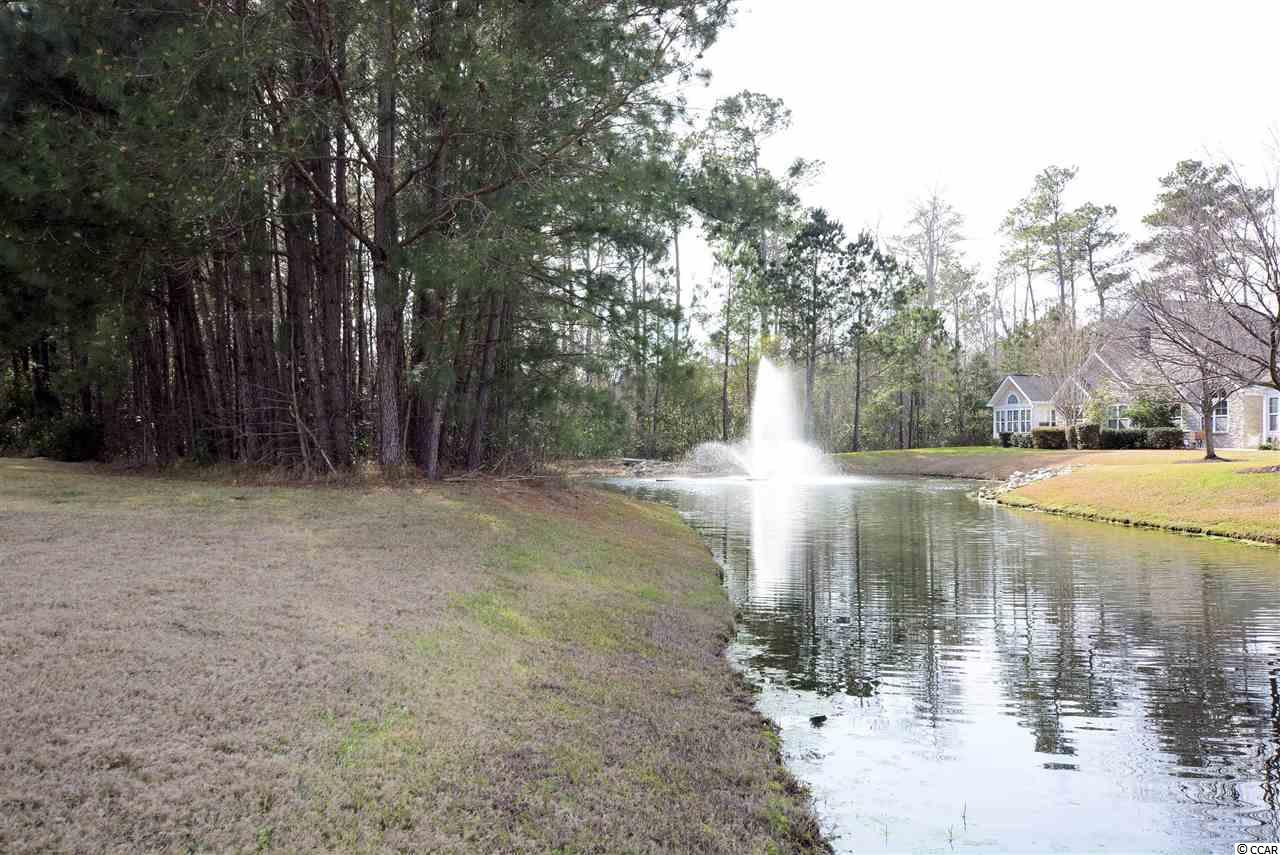 827 Botany Loop, Unit 25 Murrells Inlet, SC 29576 - Photo 4 of 28 Gallery Image 4