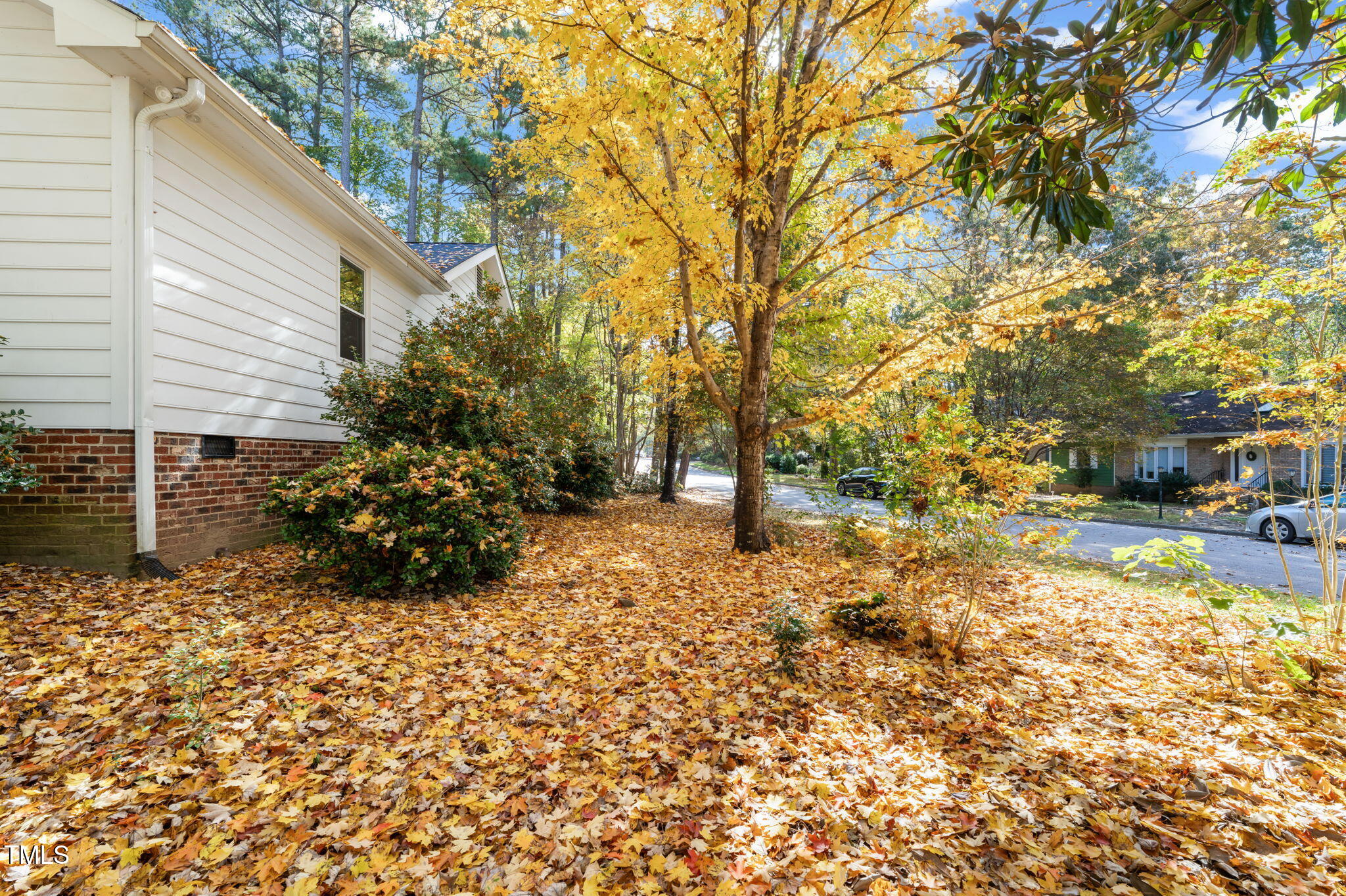 2209 Ridgefield Drive Chapel Hill, NC 27517 - Photo 50 of 57 a view of a yard with large trees