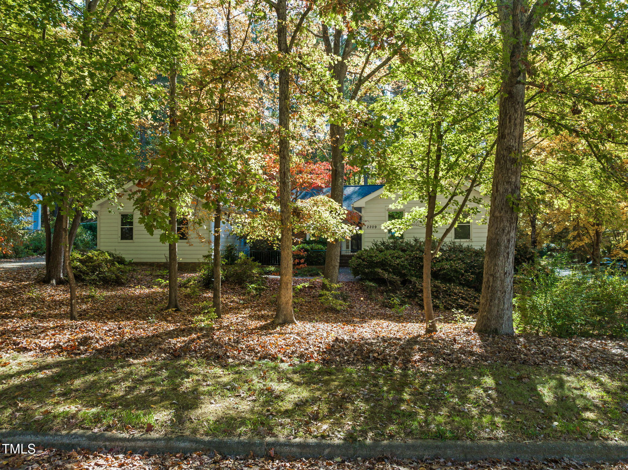 2209 Ridgefield Drive Chapel Hill, NC 27517 - Photo 51 of 57 a view of a tree in the middle of a yard