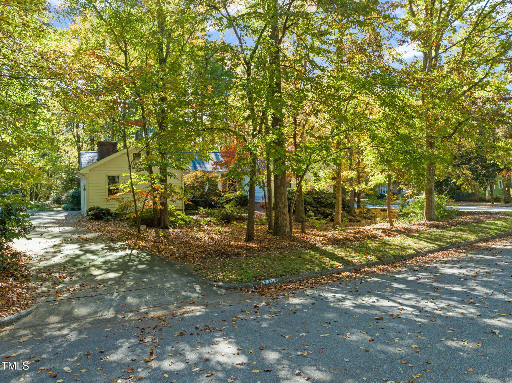 2209 Ridgefield Drive Chapel Hill, NC 27517 - Photo 52 of 57 a view of a yard with plants and trees
