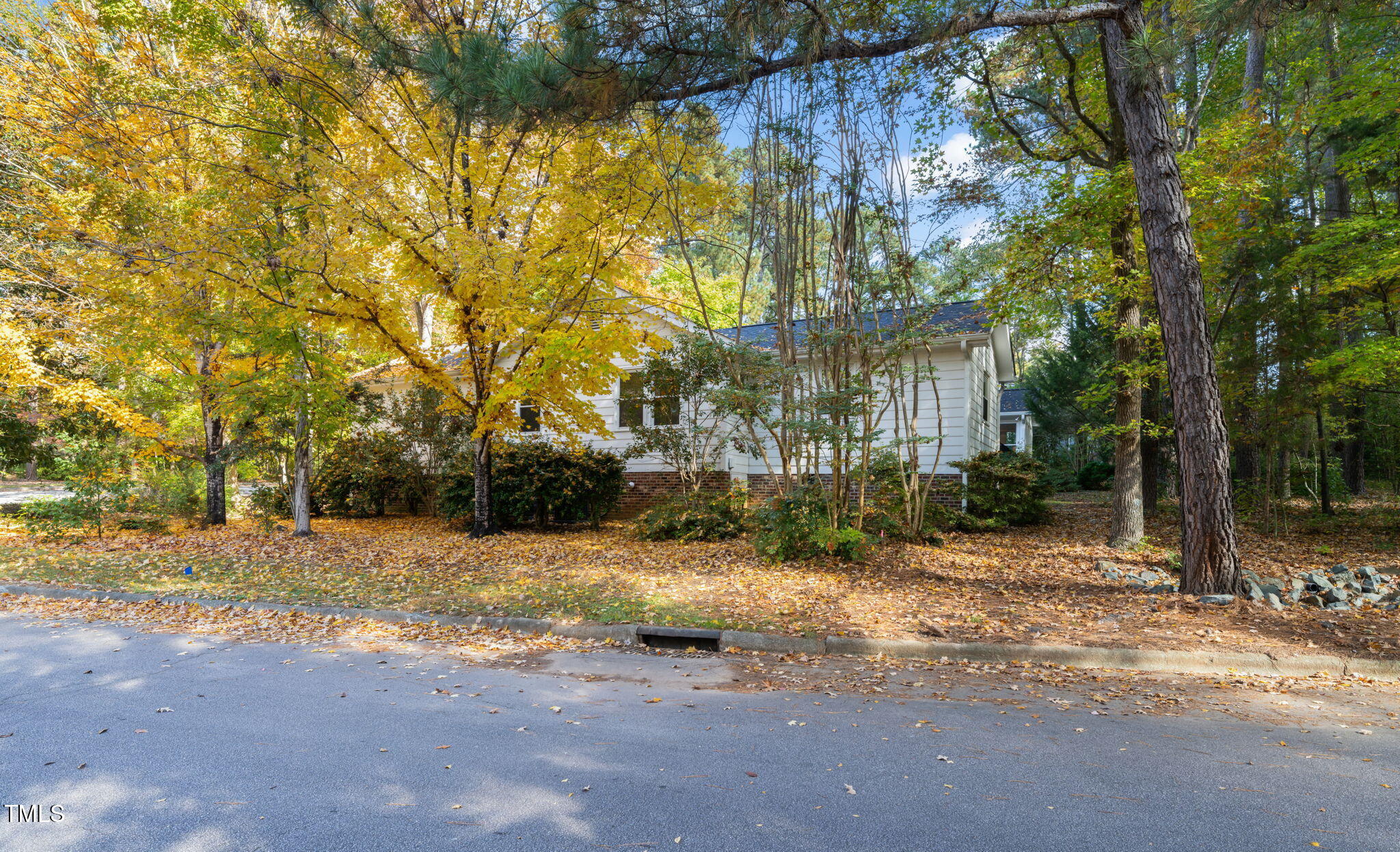 2209 Ridgefield Drive Chapel Hill, NC 27517 - Photo 53 of 57 a view of a yard with plants and trees