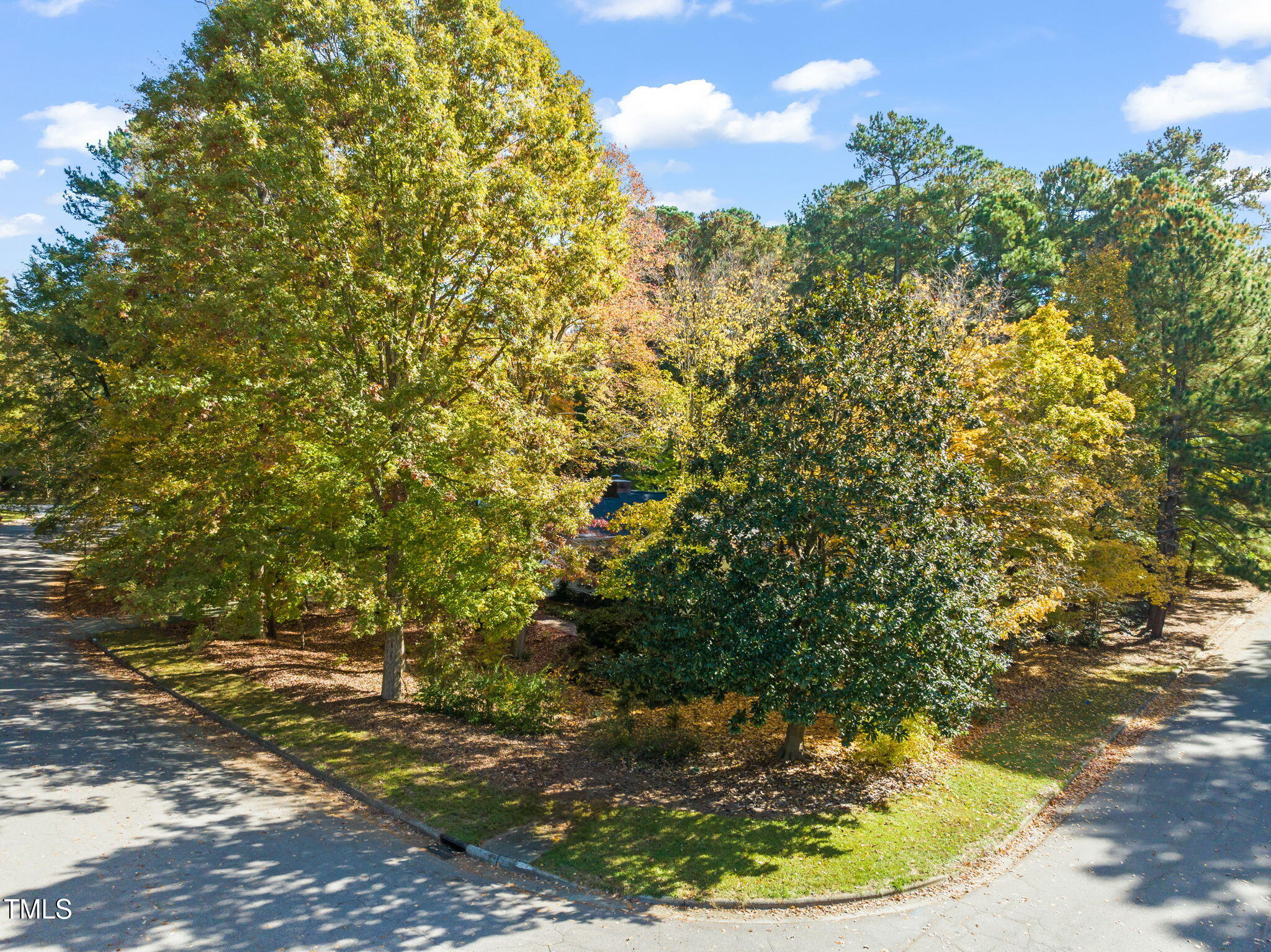 2209 Ridgefield Drive Chapel Hill, NC 27517 - Photo 54 of 57 a view of a yard