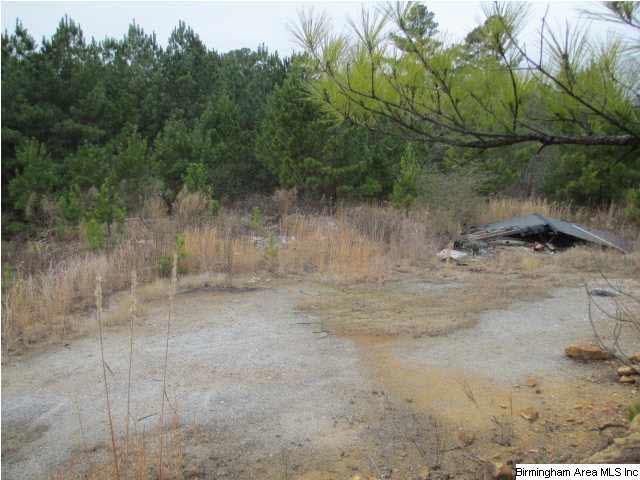 2061 Creel Road Morris, AL 35116 - Photo 5 of 6