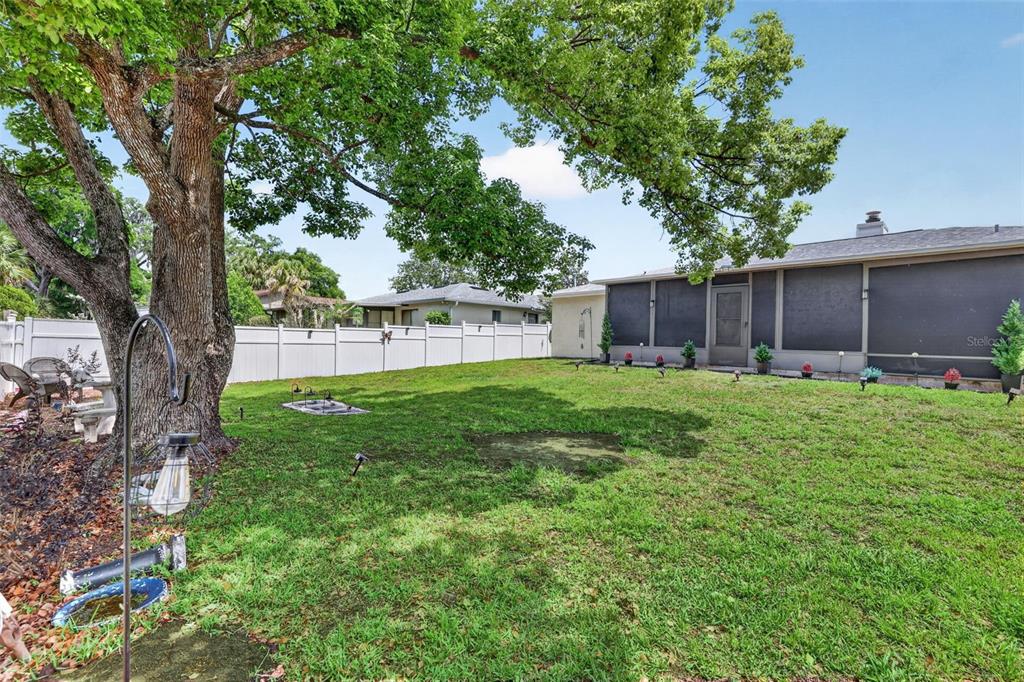 575 Tiberon Cove Road Longwood, FL 32750 - Photo 46 of 56 a view of a backyard with a small cabin and a large tree