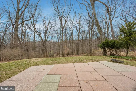 a view of backyard of house