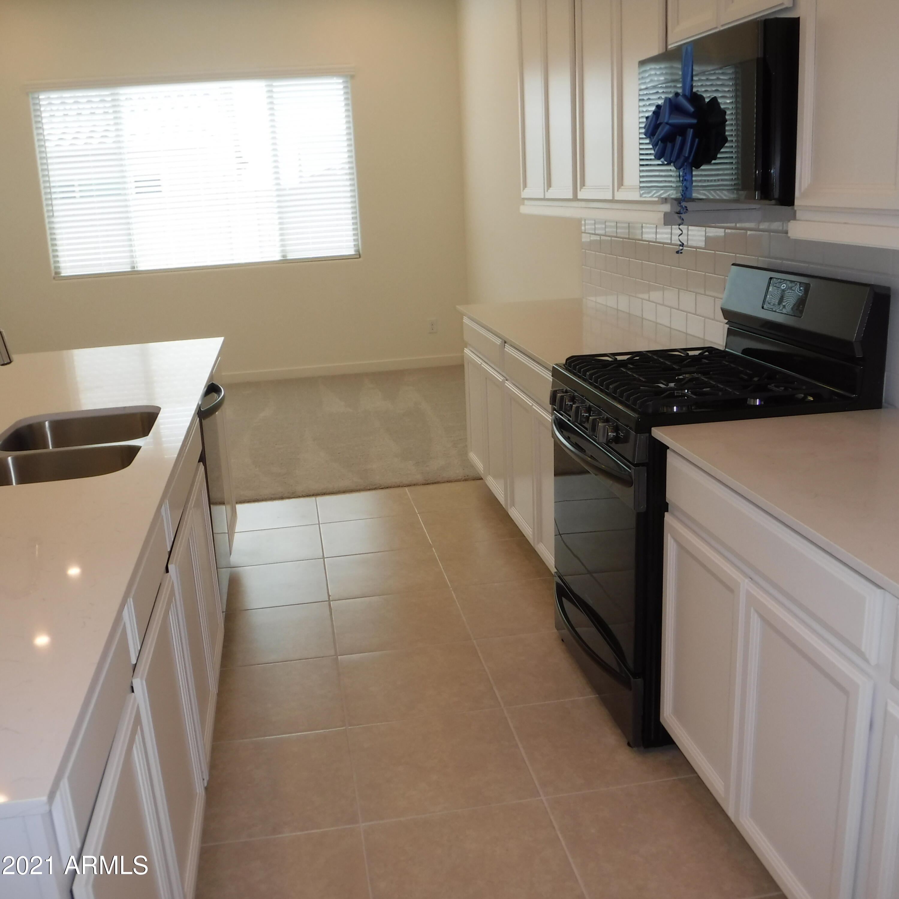 16755 West Sand Hills Road Surprise, AZ 85387 - Photo 13 of 23 DSCF4375