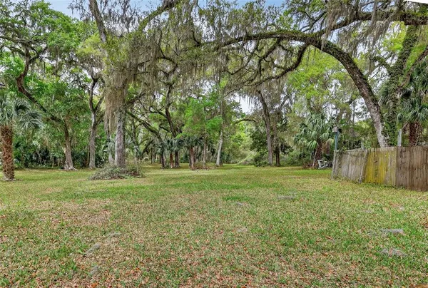 a view of a field with trees in the background