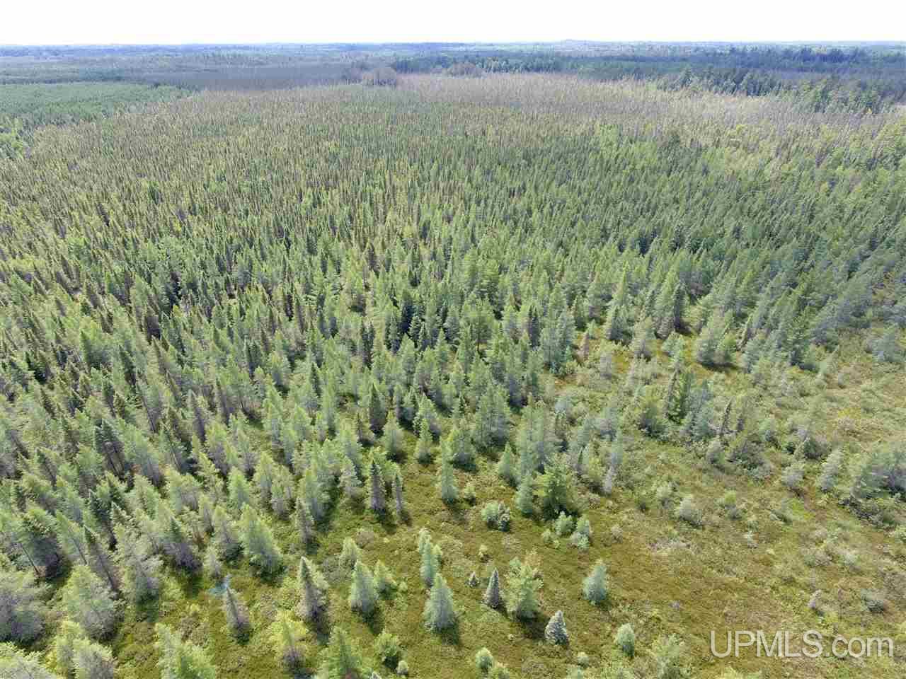 N605 Long Lake Road Wetmore, MI 49895 - Photo 29 of 41 Gallery Image 29