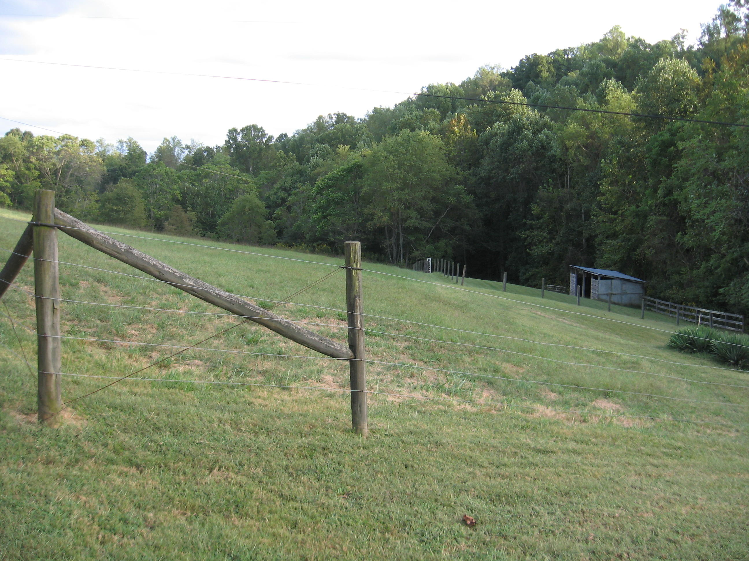 1680 Nemmo Road Vinton, VA 24179 - Photo 3 of 6 IMG_1414