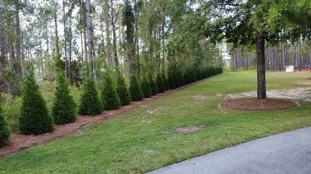 3524 Emmaus Road Valdosta, GA 31605 - Photo 80 of 87 Gallery Image 80