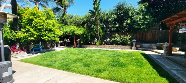 a view of a backyard with sitting area