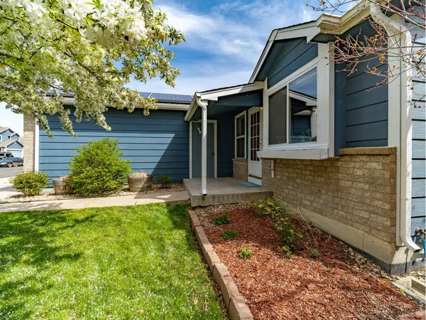 a view of a back yard of the house