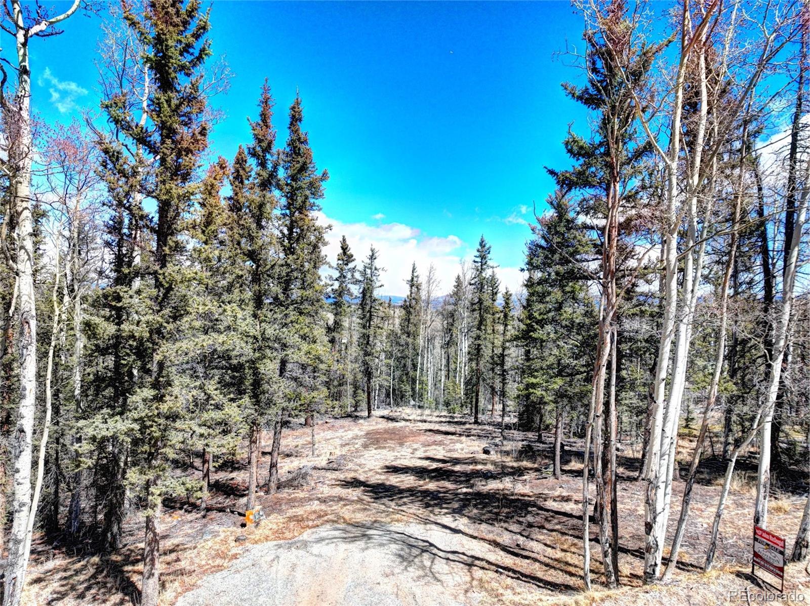 1059 Piute Way Como, CO 80432 - Photo 1 of 32 a view of a yard with plants and trees