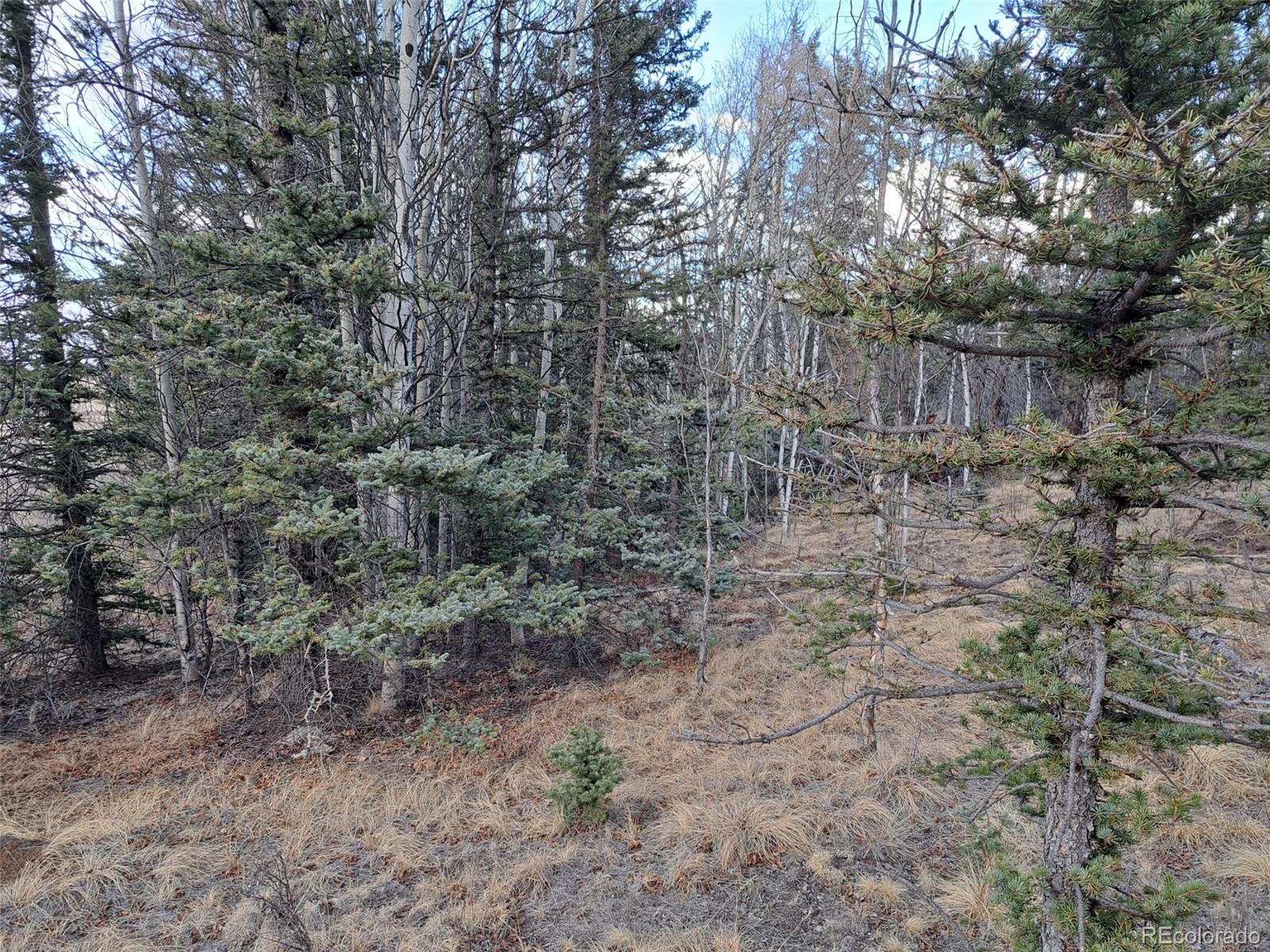 1059 Piute Way Como, CO 80432 - Photo 15 of 32 a view of a yard with a tree