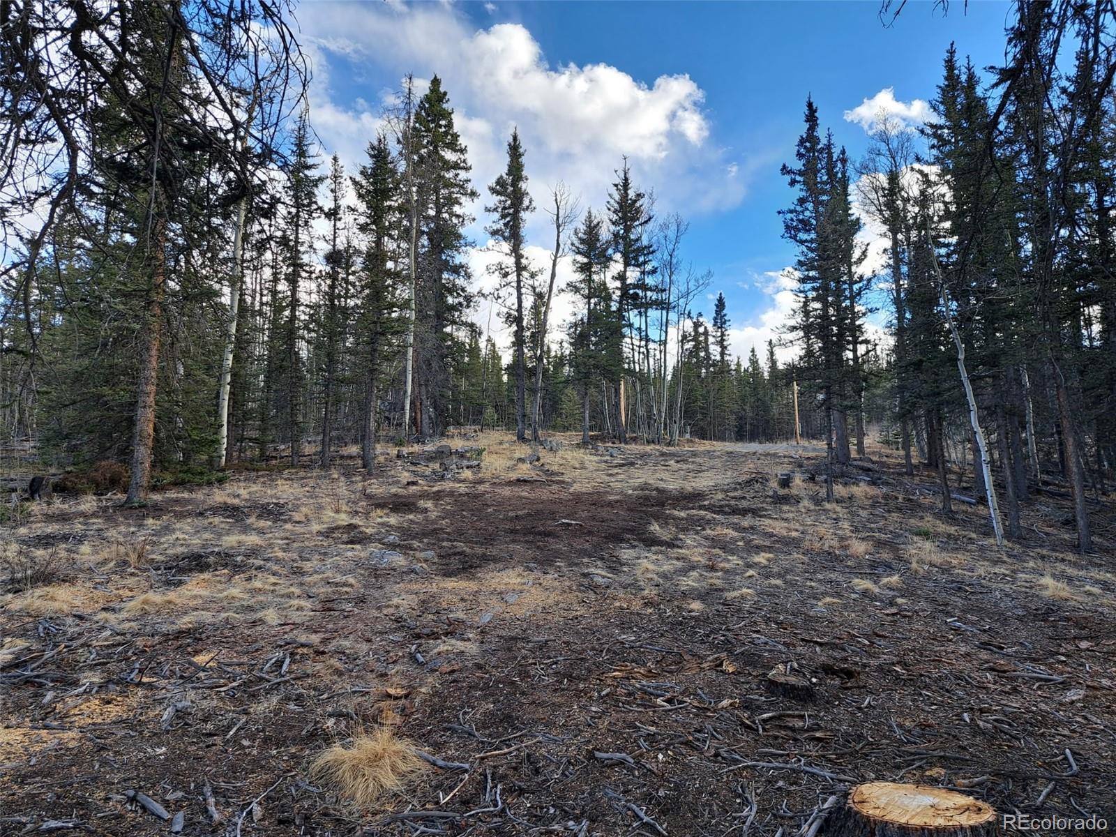 1059 Piute Way Como, CO 80432 - Photo 18 of 32 a view of a forest with trees in the background
