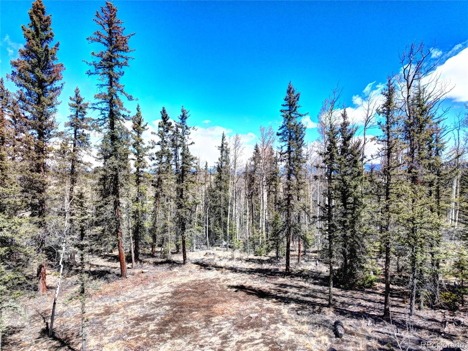 1059 Piute Way Como, CO 80432 - Photo 2 of 32 a view of a building with trees in the background