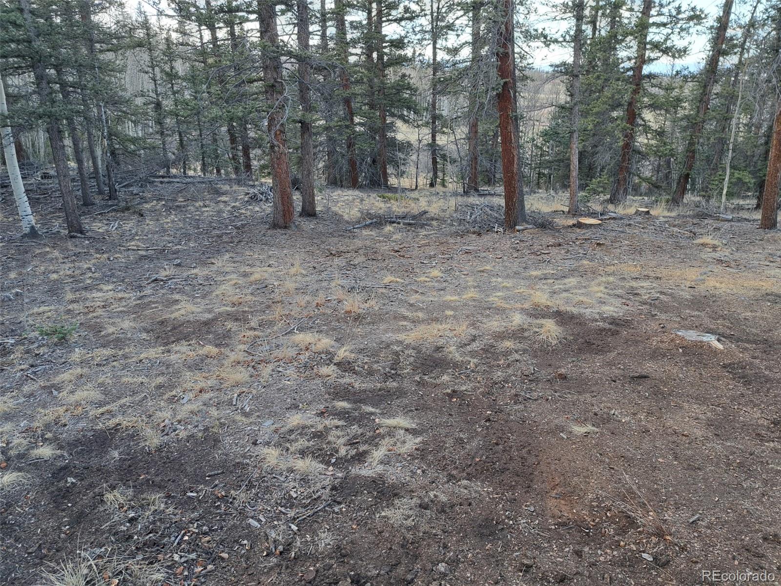 1059 Piute Way Como, CO 80432 - Photo 21 of 32 a view of a forest with trees in the background