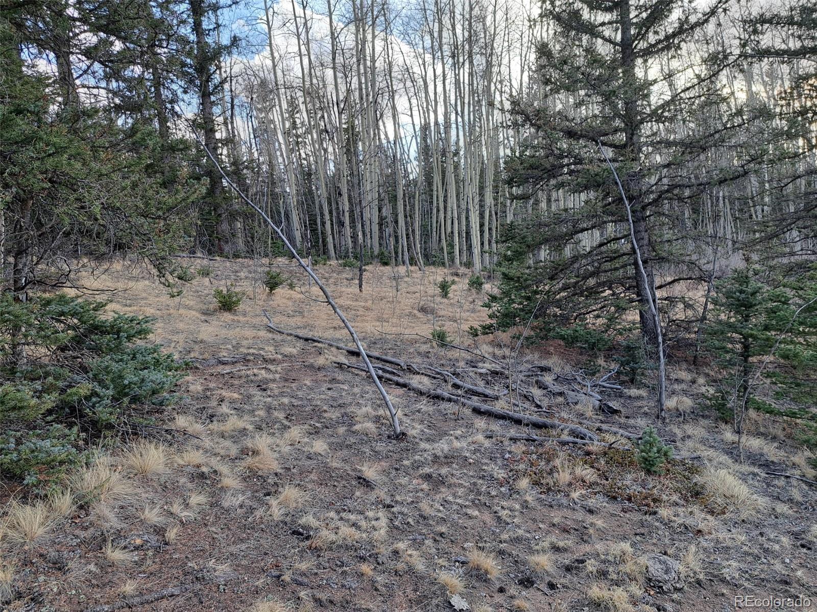 1059 Piute Way Como, CO 80432 - Photo 22 of 32 a view of small yard with large trees