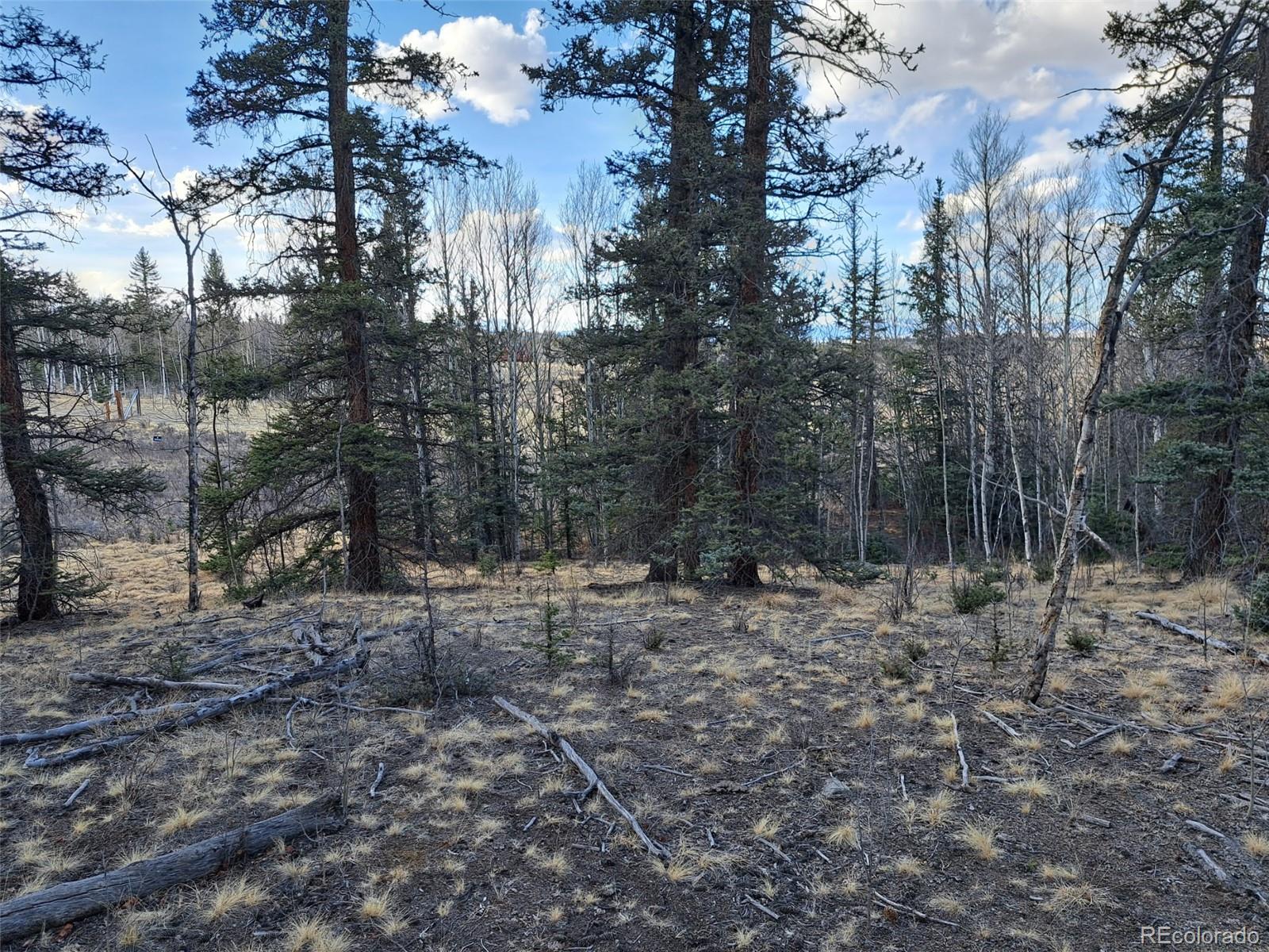 1059 Piute Way Como, CO 80432 - Photo 24 of 32 a view of a yard with a tree