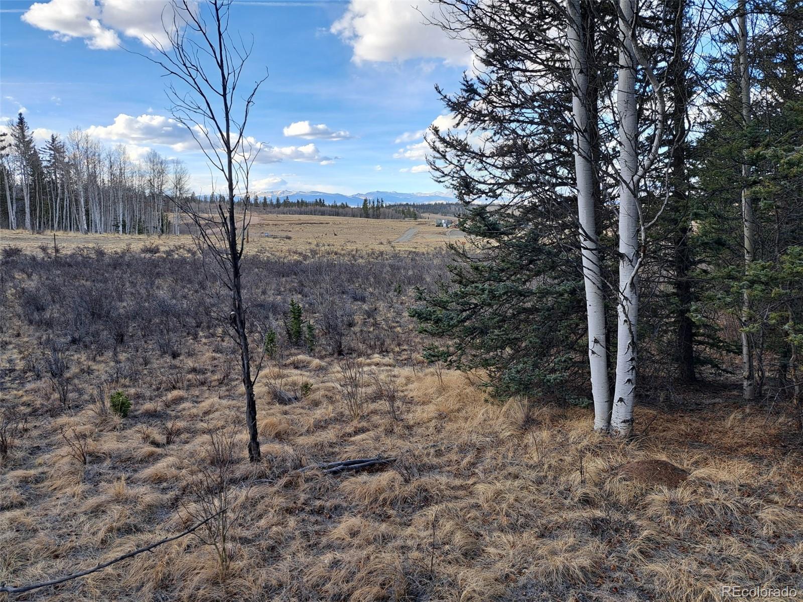 1059 Piute Way Como, CO 80432 - Photo 30 of 32 a view of a yard with trees